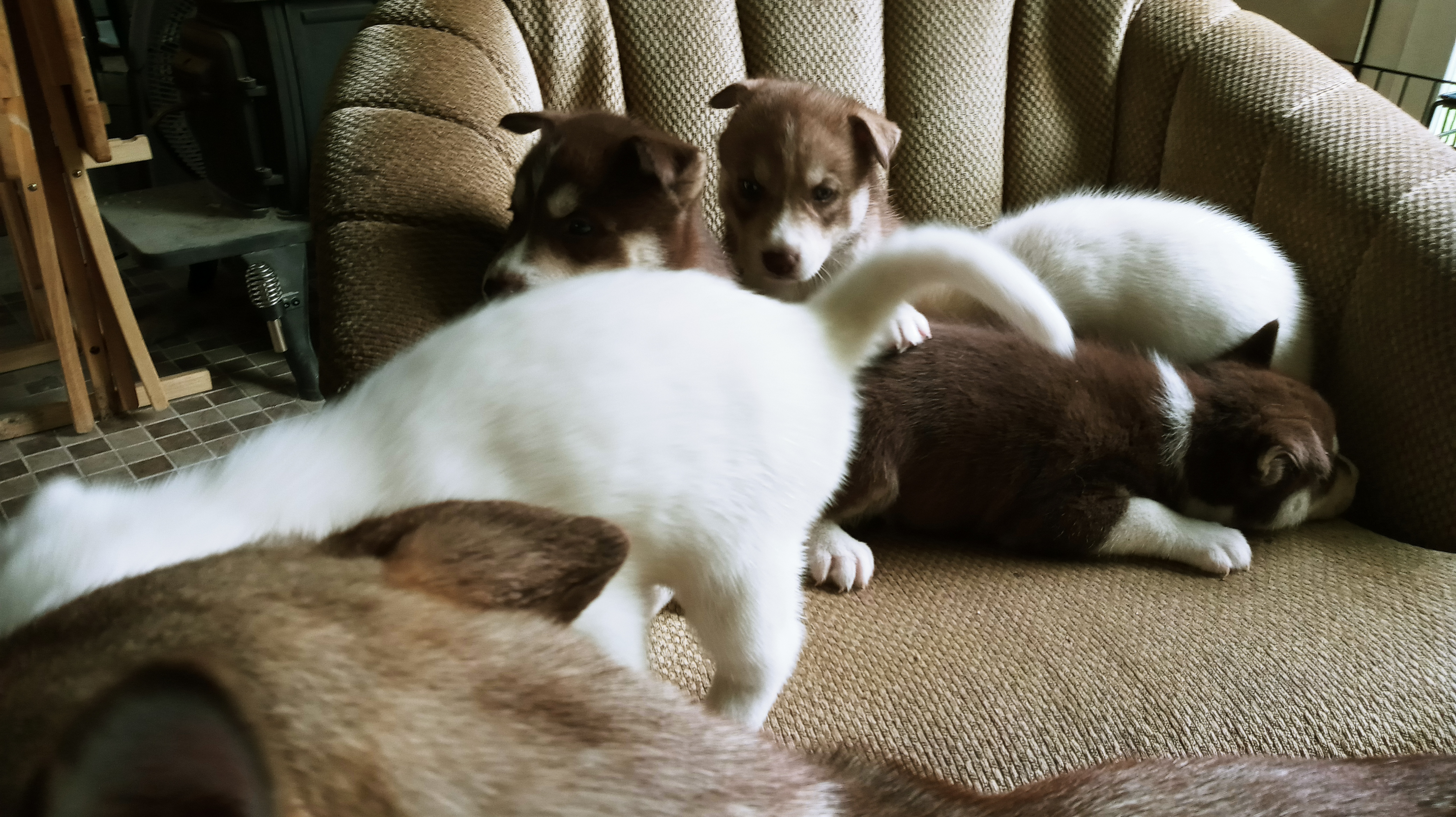 20210627_114421_HDR.jpg