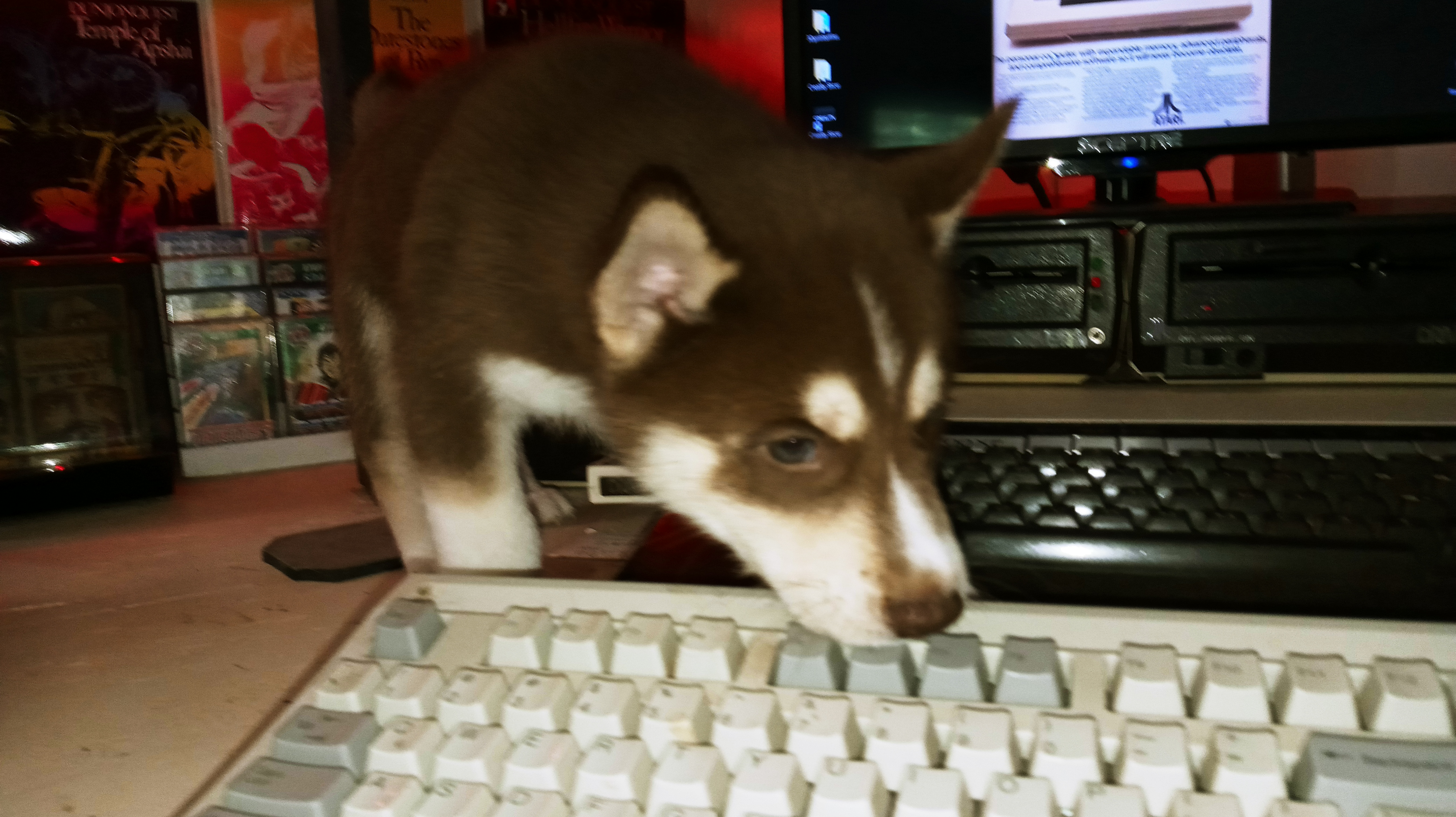 20210704_102752.jpg