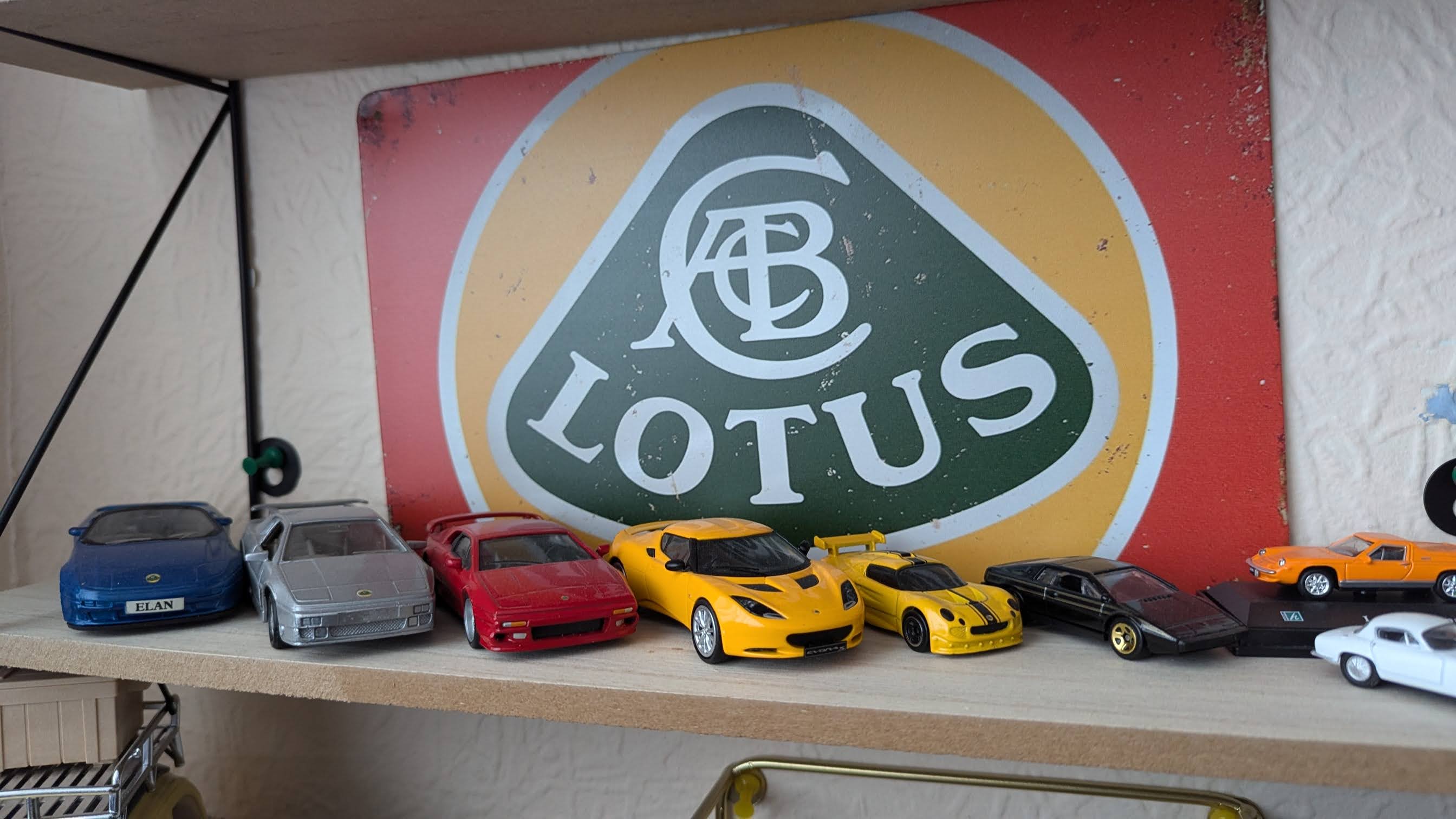 lotus3.jpg