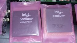 20201005_160513.jpg